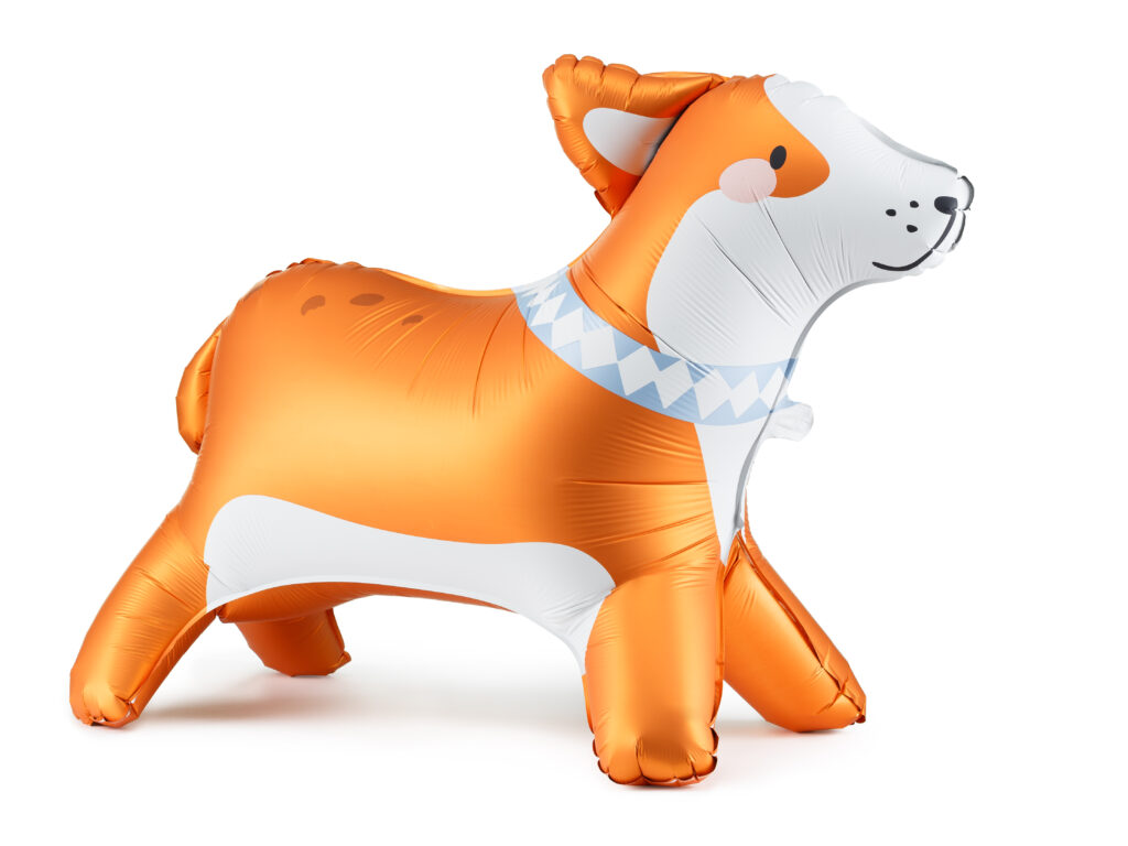 Perro Corgi